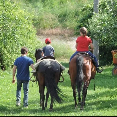 La Casa Vecchia * Colorno