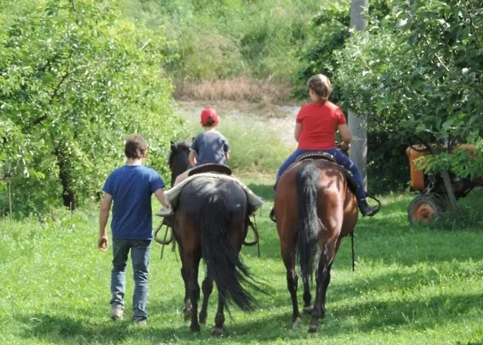 La Casa Vecchia * Colorno